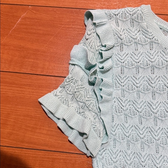 Zara Light Blue/Green Lace Ruffle Sleeve Top - Picture 3 of 4